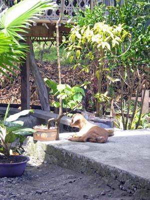 Visitor at Bro Ramer's Meeting